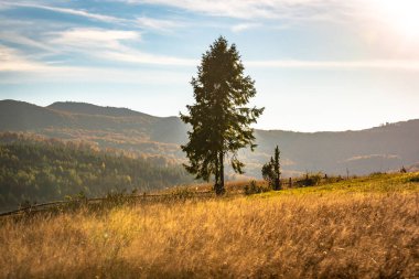 Günbatımında Karpatlar 'ın sonbahar manzarası