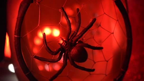 Araignée Noire Sur Une Toile Lumière Rouge Pour Halloween — Video