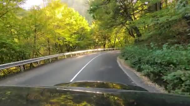Bir Road Aracı Sonbaharda Asfalt Bir Dağ Yolunda Seyahat Eder — Stok video