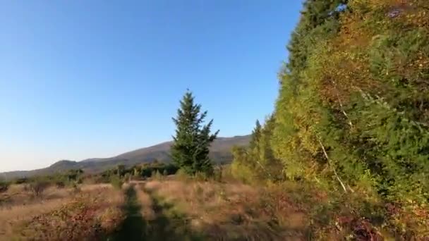 Suv Viaja Través Las Montañas Los Cárpatos Otoño — Vídeo de stock