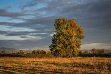 Karpat dağlarında akşam vakti sonbahar manzarası