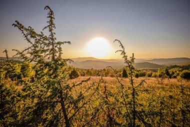 Karpat dağlarında akşam vakti sonbahar manzarası