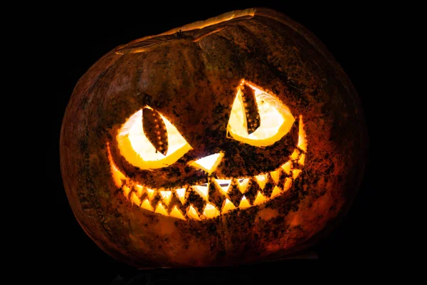 Sorriso Gatto Scolpito Una Zucca Halloween — Foto Stock