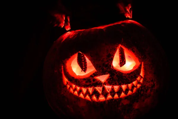 Улыбка Кота Вырезанная Хэллоуин — стоковое фото