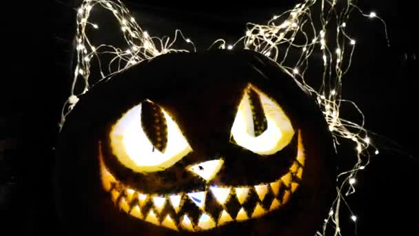 Sorriso Gatto Scolpito Una Zucca Halloween — Video Stock