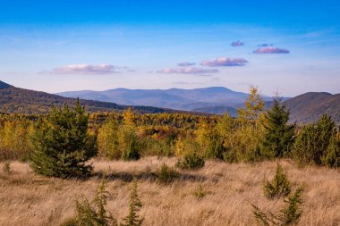 Sonbahar Karpat Dağları 'nın manzarası
