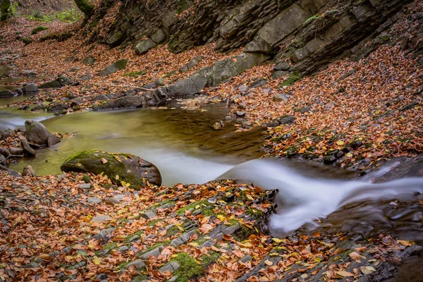 Bergrivier Het Karpaten Bos — Stockfoto