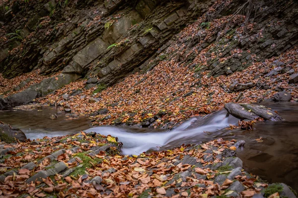 Rivière Montagne Dans Forêt Des Carpates — Photo