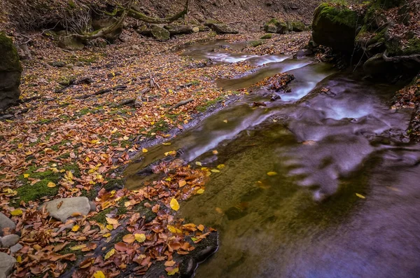 Rivière Montagne Dans Forêt Des Carpates — Photo