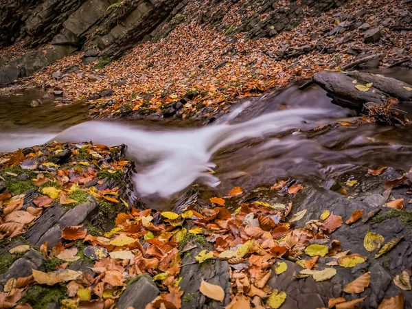 Karpat Ormanındaki Dağ Nehri — Stok fotoğraf