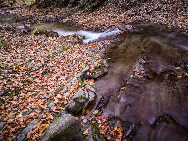 Mountain River Carpathian Forest — Stock Photo, Image