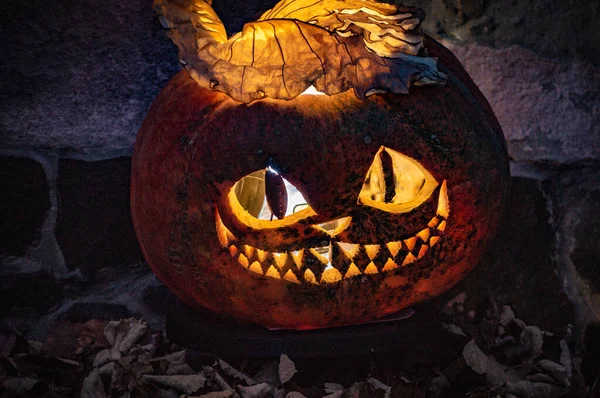 Sorriso Gato Esculpido Uma Abóbora Halloween — Fotografia de Stock