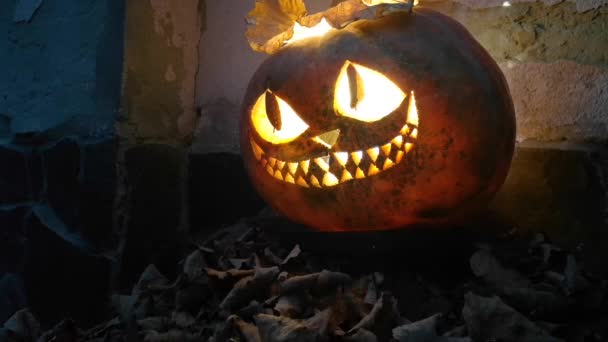 Något Rör Sig Bland Torra Bladen Halloween Pumpa — Stockvideo