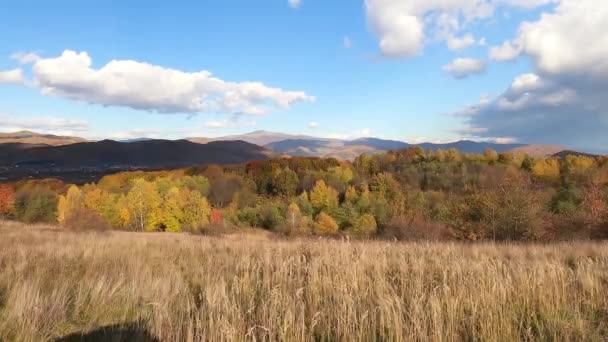 Tijd Rondt Herfstlandschap Karpaten — Stockvideo