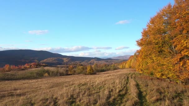 Tiden Rinner Höstens Landskap Karpaterna — Stockvideo