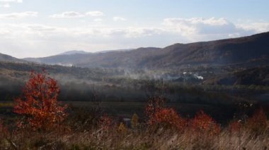 Karpat Dağları 'nda sonbahar manzarası 