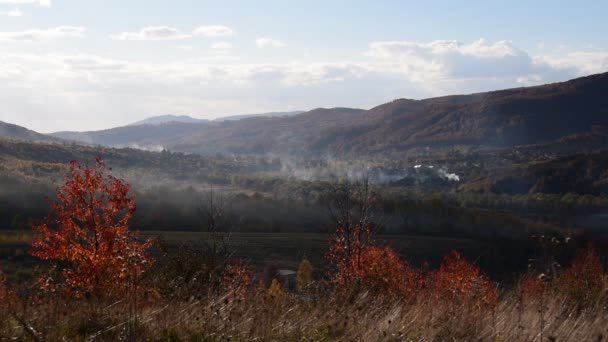 Paysage Automne Dans Les Montagnes Des Carpates — Video