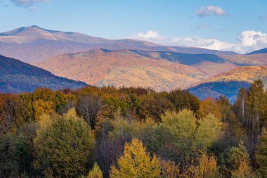 Karpat Dağları 'nda sonbahar manzarası 