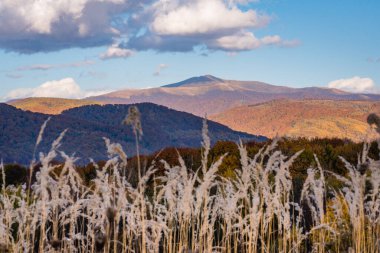 Karpat Dağları 'nda sonbahar manzarası 