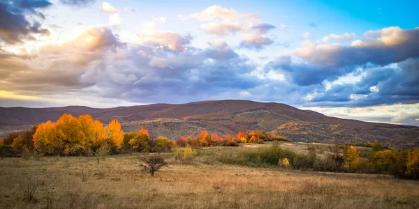 Karpat Dağları 'nda sonbahar manzarası 