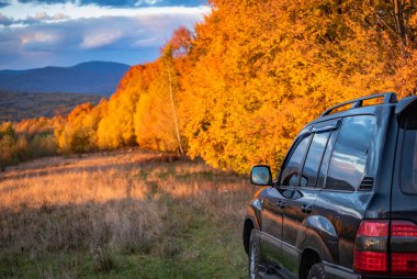 SUV sonbaharda Karpatlar 'da seyahat eder.