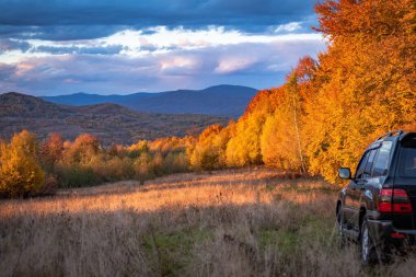 SUV sonbaharda Karpatlar 'da seyahat eder.