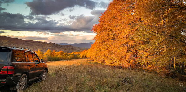 The SUV travels in the autumn Carpathians