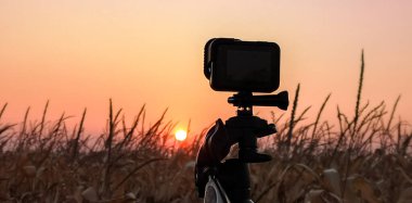 Sonbahar günbatımı mısır tarlası boyunca manzara