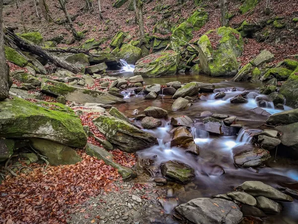 Ormandaki Dağ Deresi — Stok fotoğraf