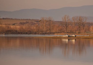 Gölde güzel kış günbatımı