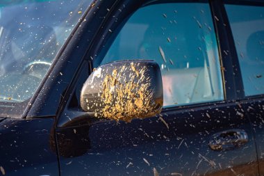 Gün batımında gölün yanında bir cip.