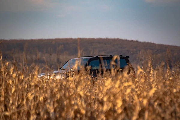 Suv Jezera Při Západu Slunce — Stock fotografie