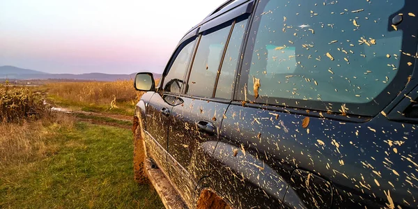 Suv Bij Het Meer Bij Zonsondergang — Stockfoto