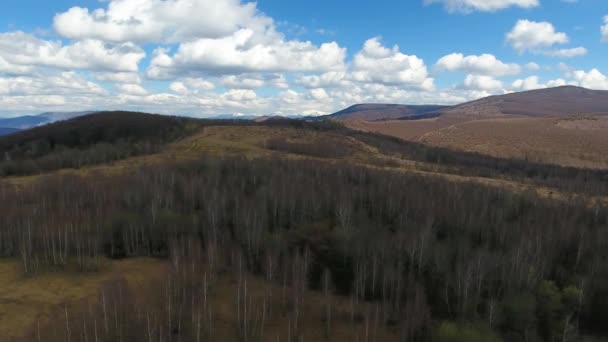 Fotografia Aerea Paesaggio Nei Carpazi Primaverili — Video Stock