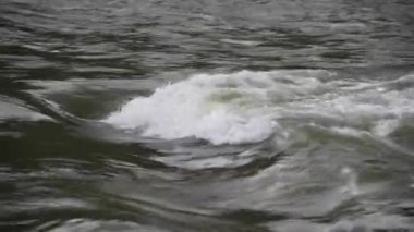 Karpat Dağları 'nda akan dağ nehri