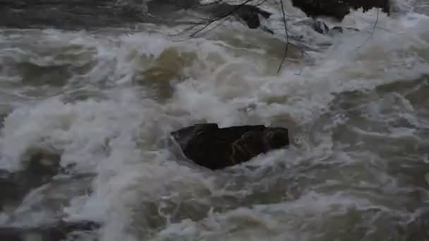 Râu Muntos Plin Munții Carpați — Videoclip de stoc