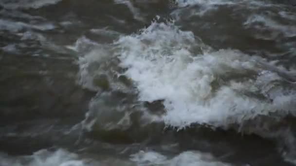 Rivière Montagne Qui Coule Dans Les Carpates — Video