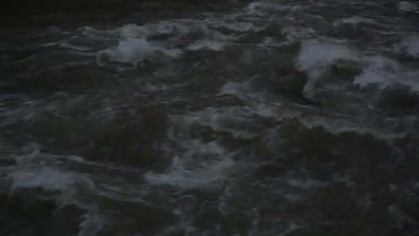 カルパチア山脈の全流れる山の川 — ストック動画