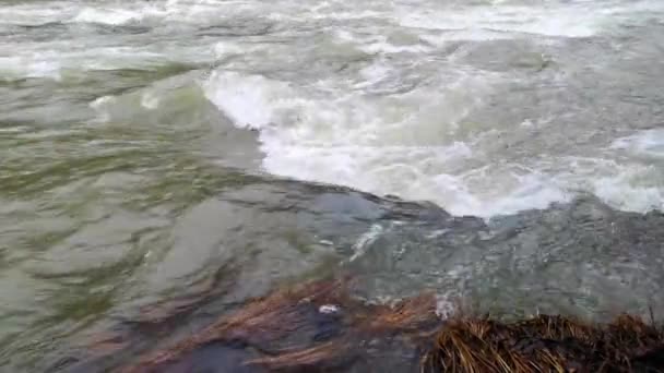 Полноводная Горная Река Карпатах — стоковое видео