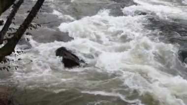 Karpat Dağları 'nda akan dağ nehri
