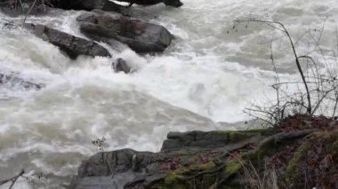 Karpat Dağları 'nda akan dağ nehri