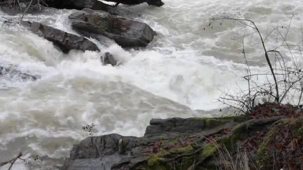 Río Montaña Que Fluye Las Montañas Cárpatos — Vídeo de stock