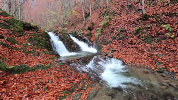Pełni Płynący Wodospad Górskim Jesiennym Lesie — Wideo stockowe