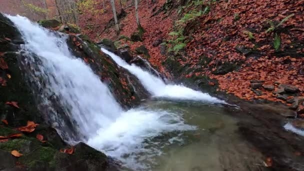 Teljes Vízesés Egy Hegyi Őszi Erdőben — Stock videók