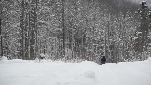 Bir Adam Dağ Kış Ormanlarında Yürür — Stok video