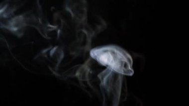 Beautiful movement of smoke in a beam of light on a dark background