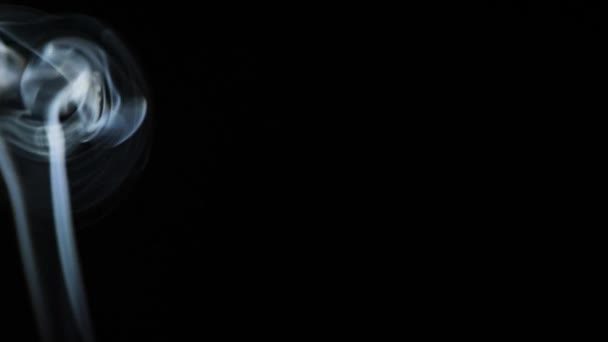 어두운 배경에 광선을 비추며 아름다운 연기의 움직임 — 비디오