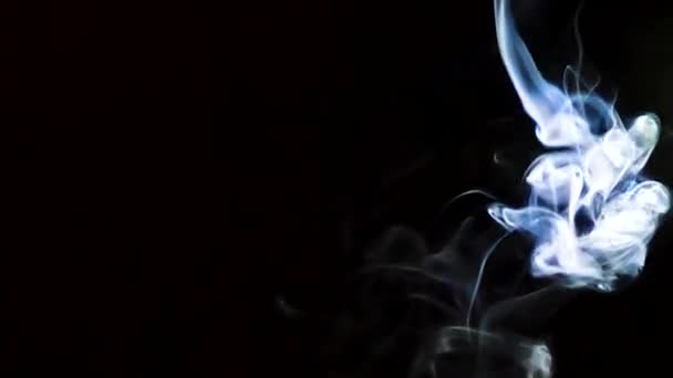 Hermoso Movimiento Humo Haz Luz Sobre Fondo Oscuro — Vídeo de stock