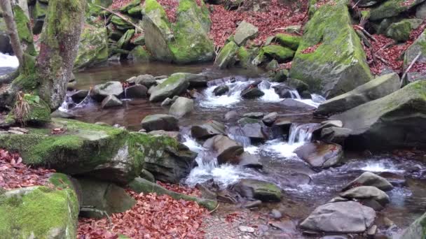 Abendliche Landschaft Des Gebirgsbaches — Stockvideo