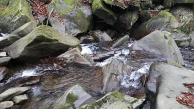 Dağ deresinin akşam manzarası